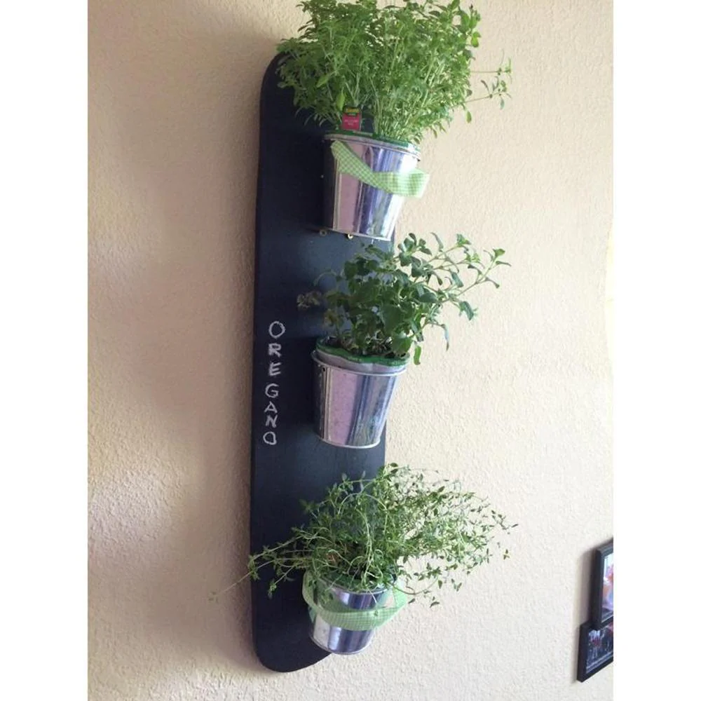 Longboard Skateboard Art - Compact Herb Garden - Image 3