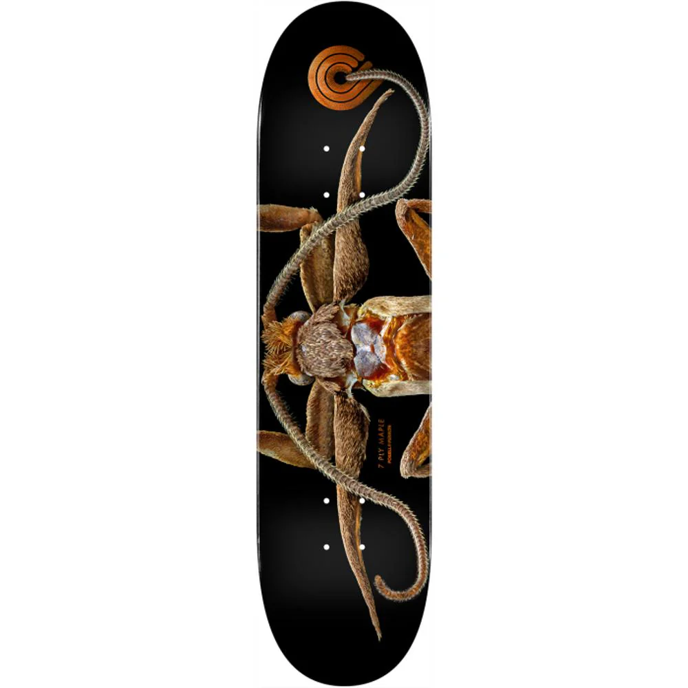 Powell Peralta Biss Marion Moth 8.25" Skateboard Deck